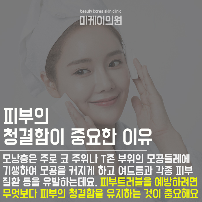 강남아쿠아필로모낭충제거 드라마틱한 결과 관련 이미지 4