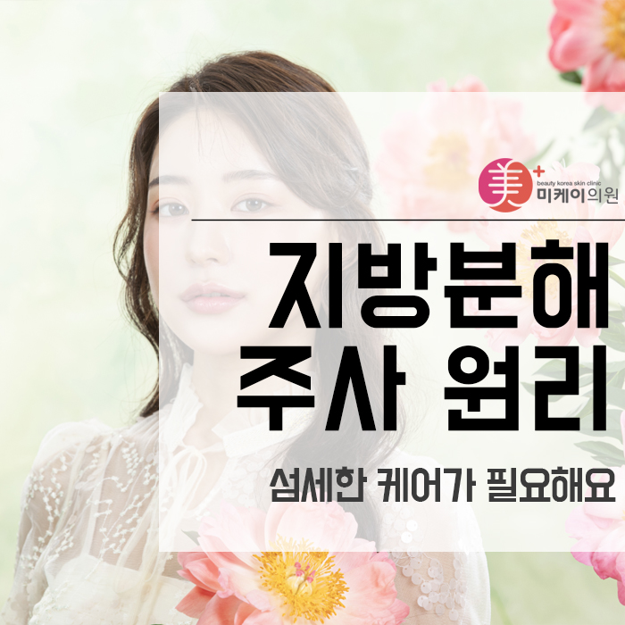 지방분해주사 원리 섬세한 케어가 필요해요 관련 이미지 1