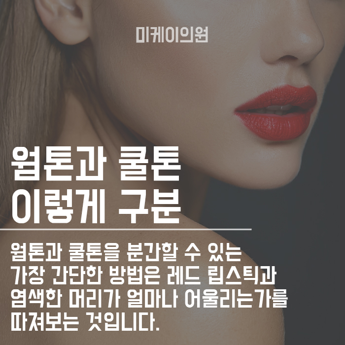 피부 웜톤 쿨톤 자가진단 나는 무슨색일까 관련 이미지 4