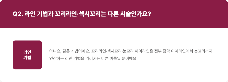 아이라인 반영구, 점막 기법과 라인 기법 차이 제대로 알기 관련 이미지 5