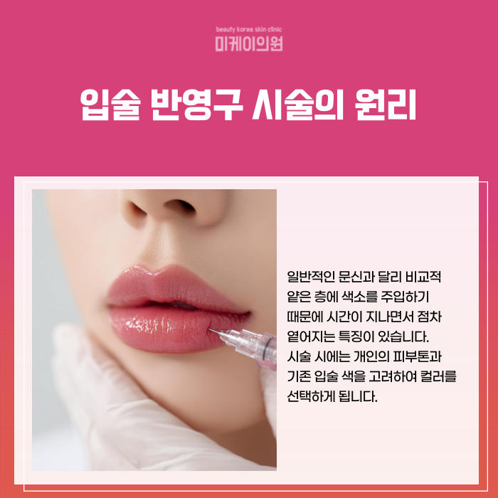 Gangnam Station Lip Semi-Permanent Makeup: Natural Lip Color image 2