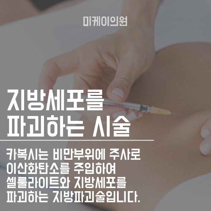 강남역비만클리닉 카복시 테라피로 관리해봐요 관련 이미지 2