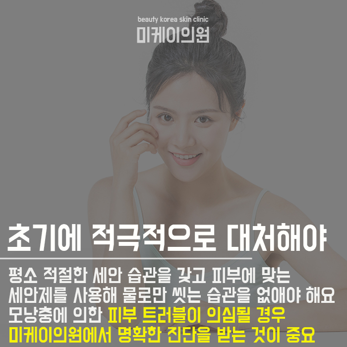 서초역아쿠아필로모낭충과이별하기 관련 이미지 6
