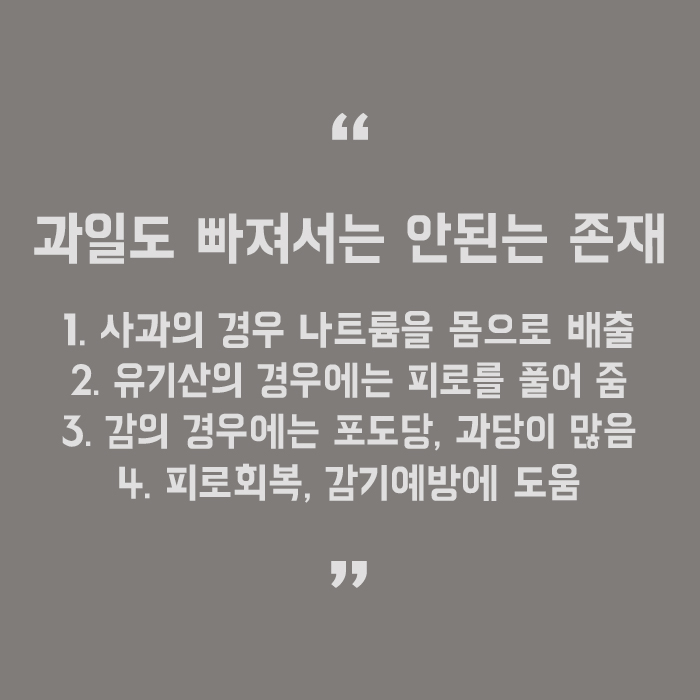 면역력 높이는 음식 챙겨먹고 건강하게 생활하자 관련 이미지 5