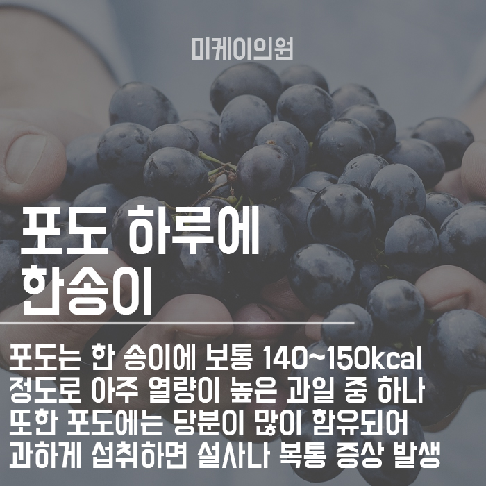 칼로리 높은 과일 종류 피해야 되겠죠? 관련 이미지 3