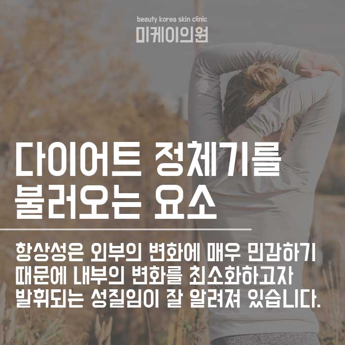 다이어트 정체기 기간 왜 항상 있을까요 관련 이미지 2