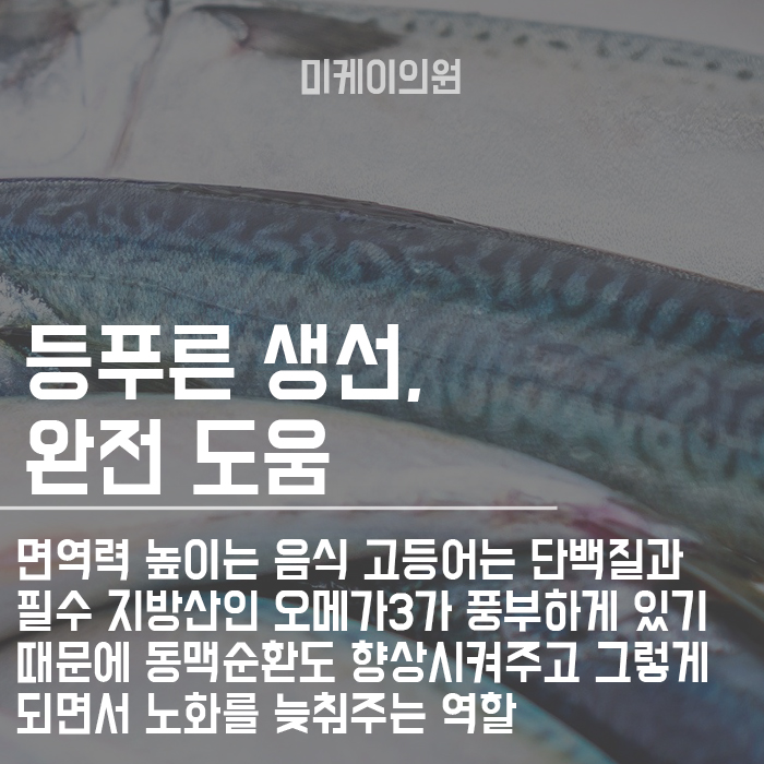 면역력 높이는 음식 챙겨먹고 건강하게 생활하자 관련 이미지 2