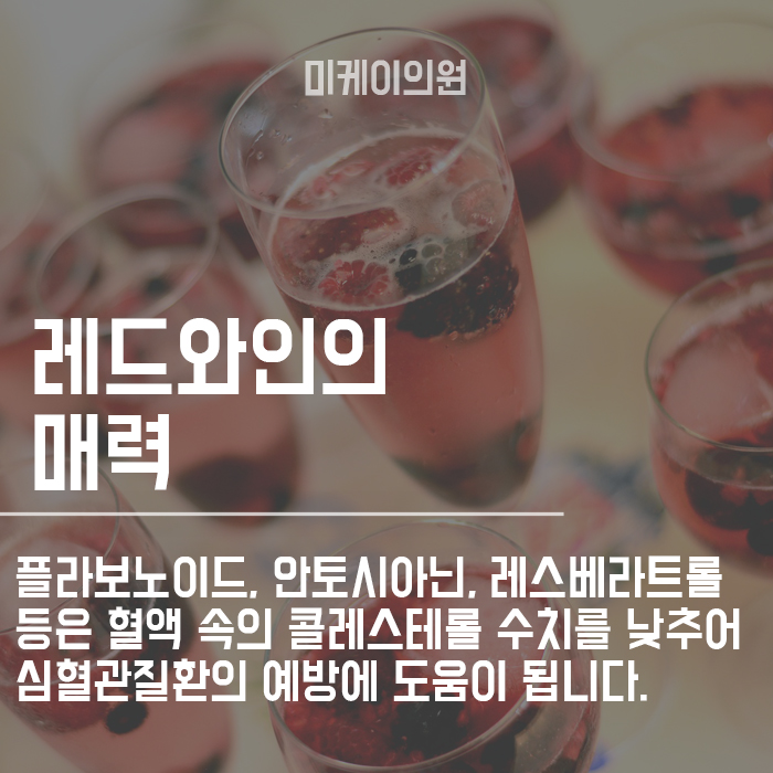 레드와인 다이어트 정말 효과가 있을까요? 관련 이미지 2