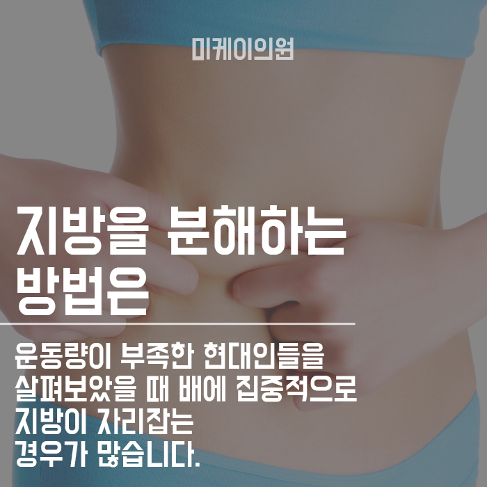 강남 바디라인주사HPL 뱃살에 맞고 운동하면 효과 관련 이미지 2