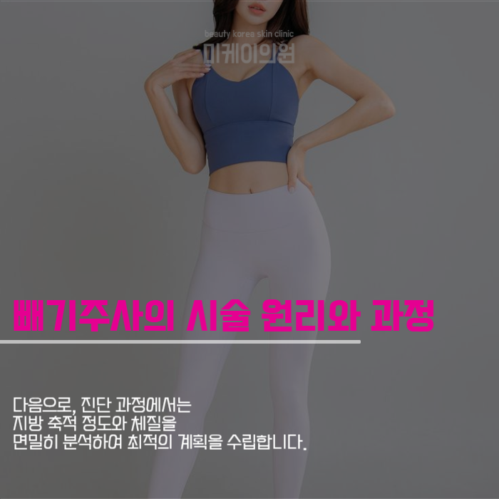 강남역 지방분해주사 겨울철 지방 관리 관련 이미지 5