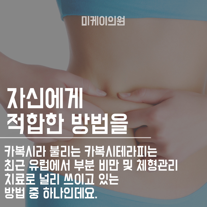서초비만클리닉 카복시로 슬림 하게 관련 이미지 4