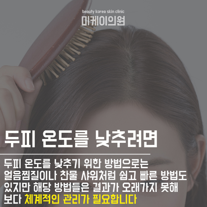 여름철머리두피관리 어렵지 않아 관련 이미지 3