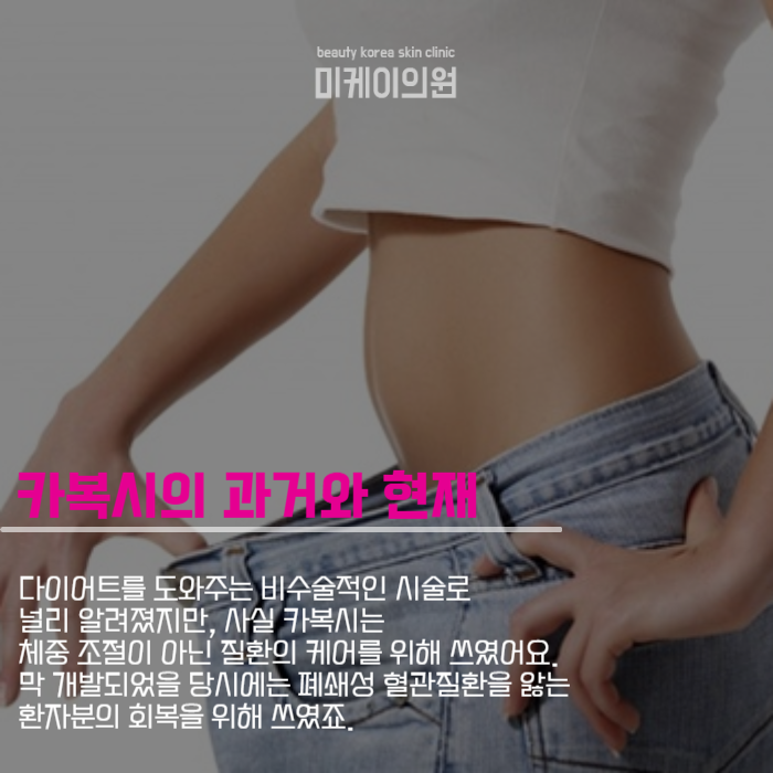강남역비만클리닉 HPL과 카복시라면 관련 이미지 3