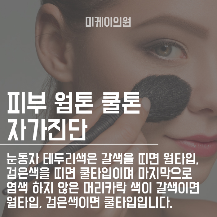 피부 웜톤 쿨톤 자가진단 나는 무슨색일까 관련 이미지 2