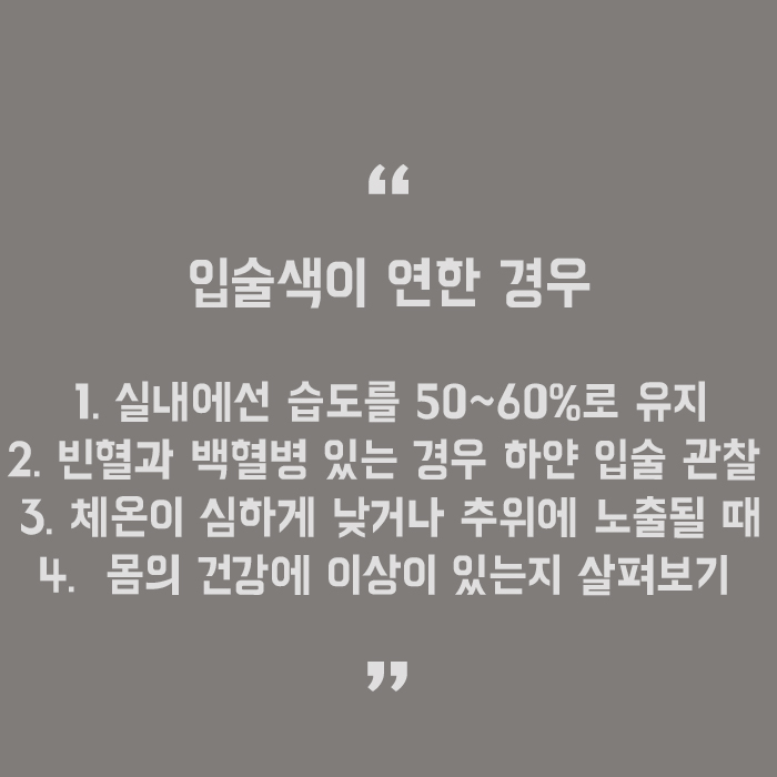 입술이 하얗게 변하는이유 제대로 알아야 관련 이미지 5