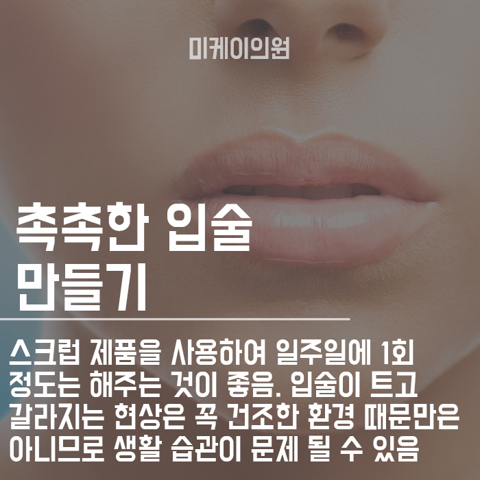 입술각질제거 집에서 손쉽게 촉촉한 입술로 관련 이미지 6