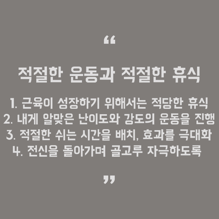 홈트레이닝 루틴 및 종류 따라하며 다이어트 성공하자! 관련 이미지 5