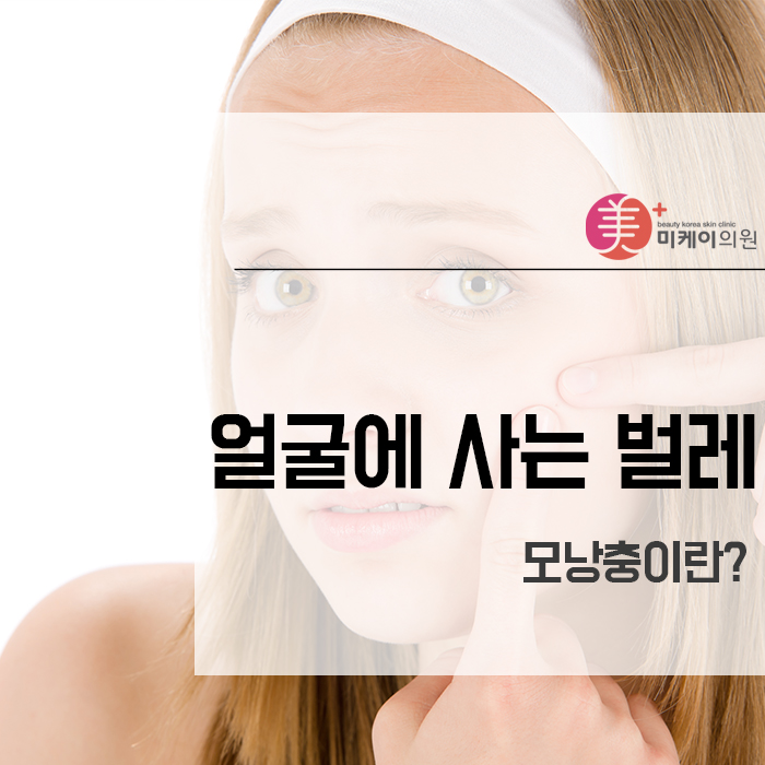 얼굴에 사는 벌레 모낭충이란? 관련 이미지 1