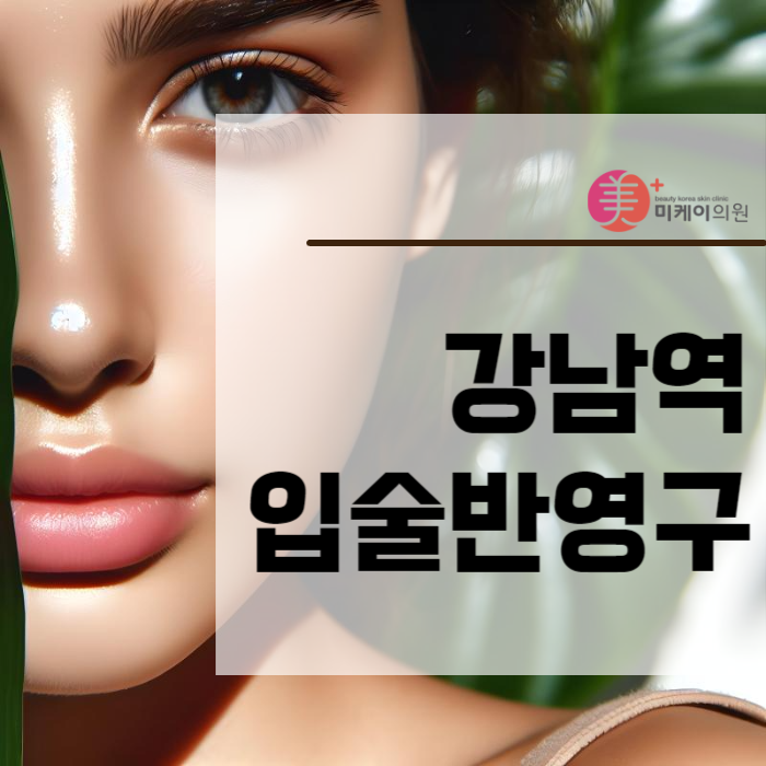 강남역 입술반영구 유지기간 알아보자 관련 이미지 1