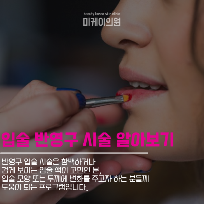 반영구화장종류 헤어라인부터 입술까지 관련 이미지 5