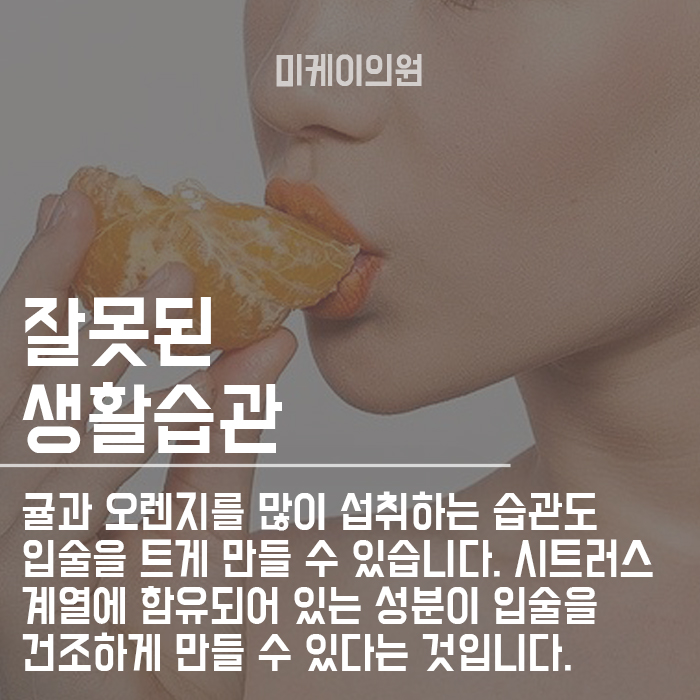 입술 텄을 때 이유를 알고 관리하자 관련 이미지 4