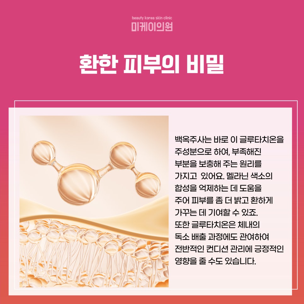 강남 백옥주사 시기 맑고 환한 피부를 위한 여정 관련 이미지 2