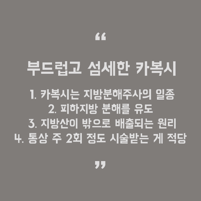 서초비만클리닉 카복시로 슬림 하게 관련 이미지 5