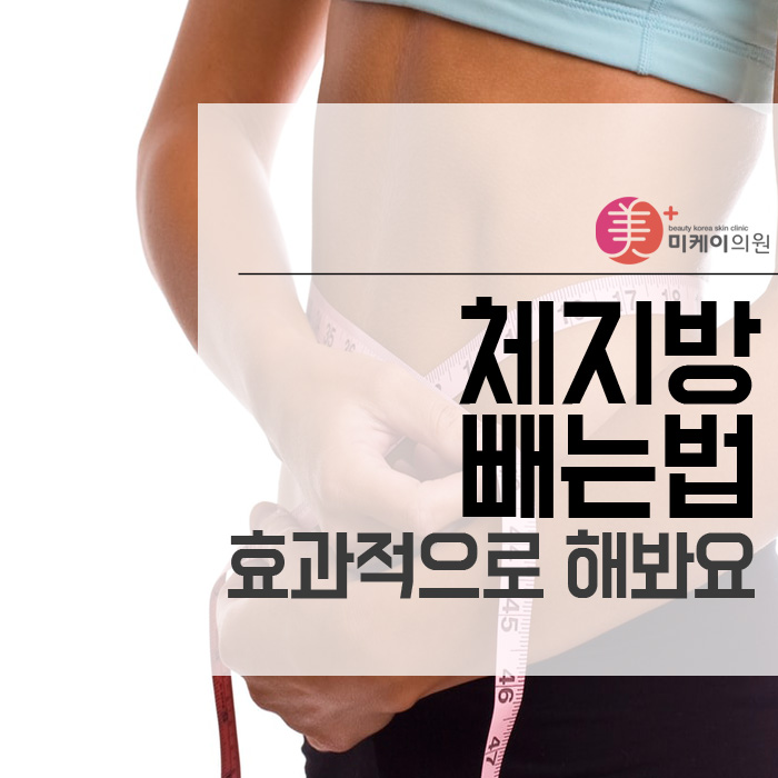 체지방빼는법 효과적으로 해봐요 관련 이미지 1