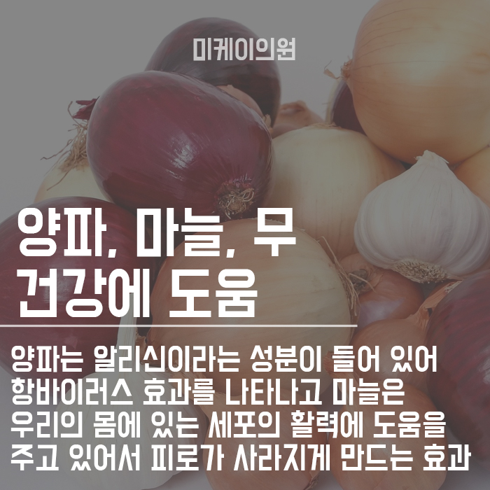 면역력 높이는 음식 챙겨먹고 건강하게 생활하자 관련 이미지 3