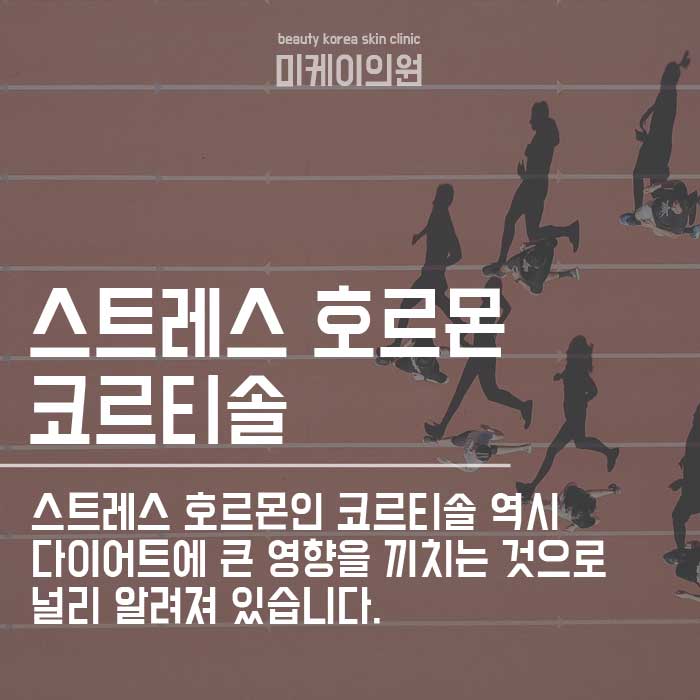 다이어트 정체기 기간 왜 항상 있을까요 관련 이미지 3