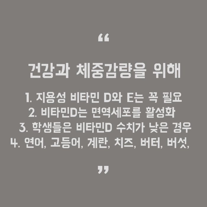 겨울철 여자 식단관리 살빼기 위한 철저한 관리가 중요 관련 이미지 5