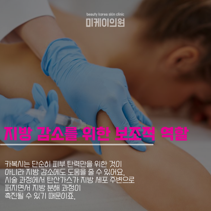 서울 피부과 추천 받아 체중 관리 시작 관련 이미지 3
