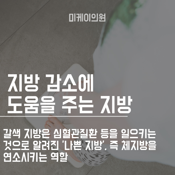 HPL지방용해술 신년다이어트 방법 관련 이미지 3