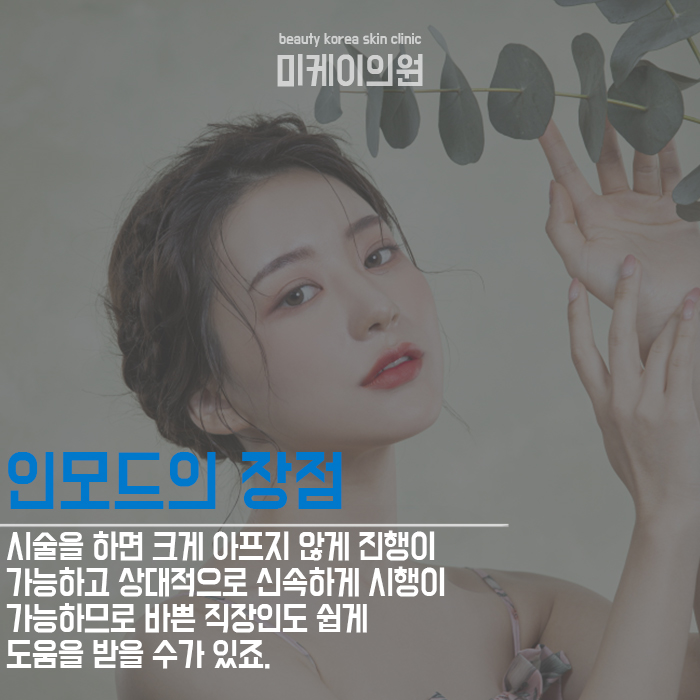 서초구인모드 알아보자 관련 이미지 5