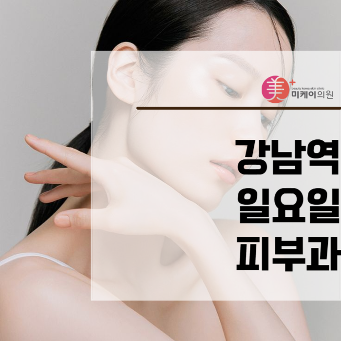 강남역 일요일 피부과 내 스케줄대로 관련 이미지 1