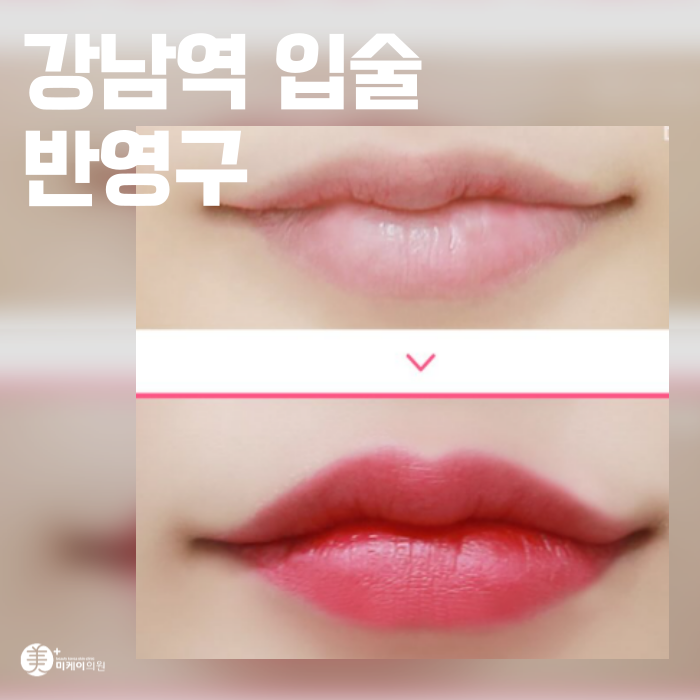 Gangnam Station Lip Semi-Permanent Makeup: Natural Lip Color image 1