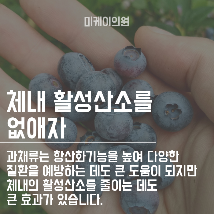 튼살 집에서 관리하는 방법 알려드립니다 관련 이미지 4
