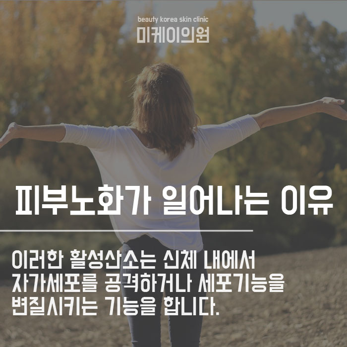 피부노화방지음식 섭취하며 젊어지세요 관련 이미지 2