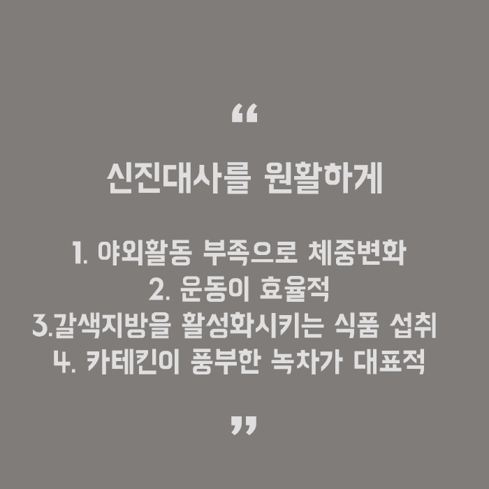 백색지방세포 갈색지방세포 구별해요 관련 이미지 5
