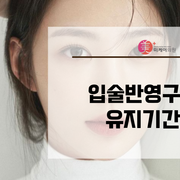 입술반영구 유지기간 이 궁금하다면 관련 이미지 1