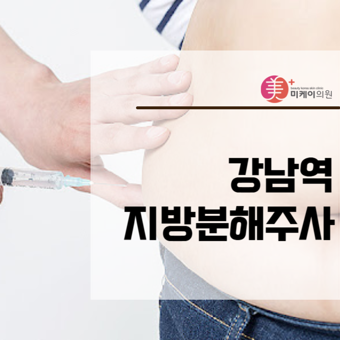 강남역 지방분해주사 여름을 위한 몸매 관리 관련 이미지 1