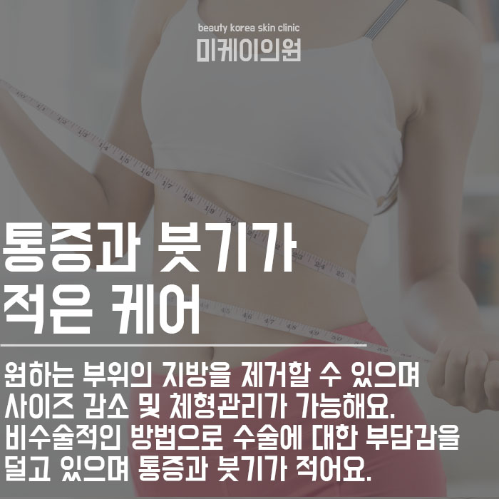 역삼 바디라인주사HPL 늘어난 뱃살 관리하자 관련 이미지 4