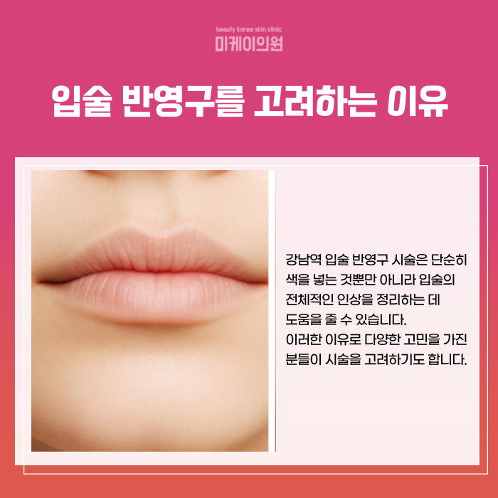 Gangnam Station Lip Semi-Permanent Makeup: Natural Lip Color image 3