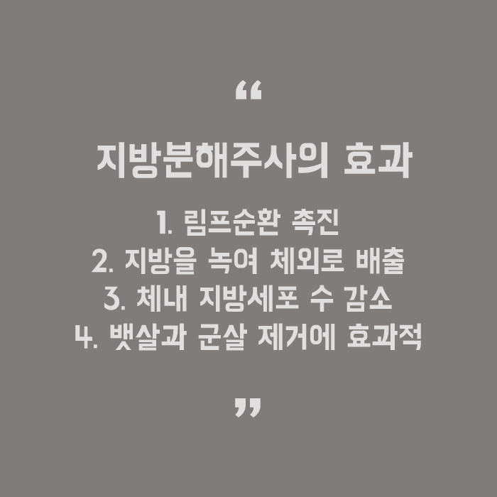 체지방빼는법 효과적으로 해봐요 관련 이미지 5