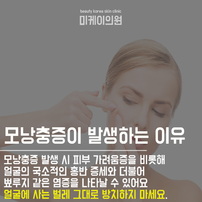 얼굴에 사는 벌레 모낭충이란? 관련 이미지 2