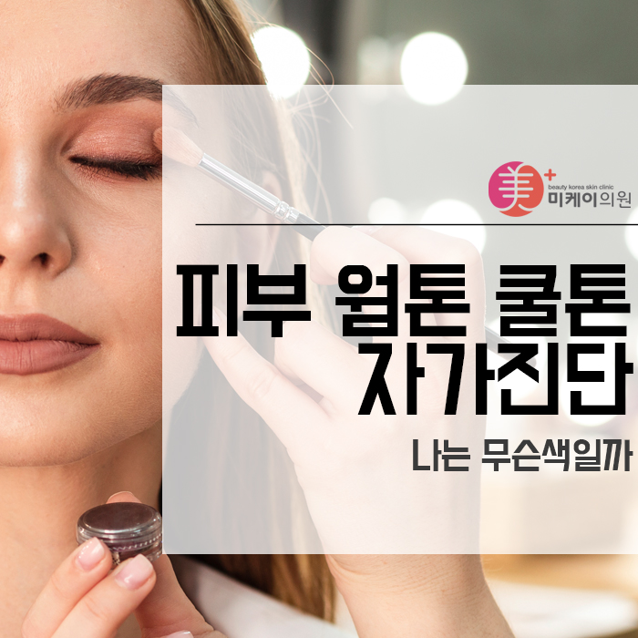 피부 웜톤 쿨톤 자가진단 나는 무슨색일까 관련 이미지 1