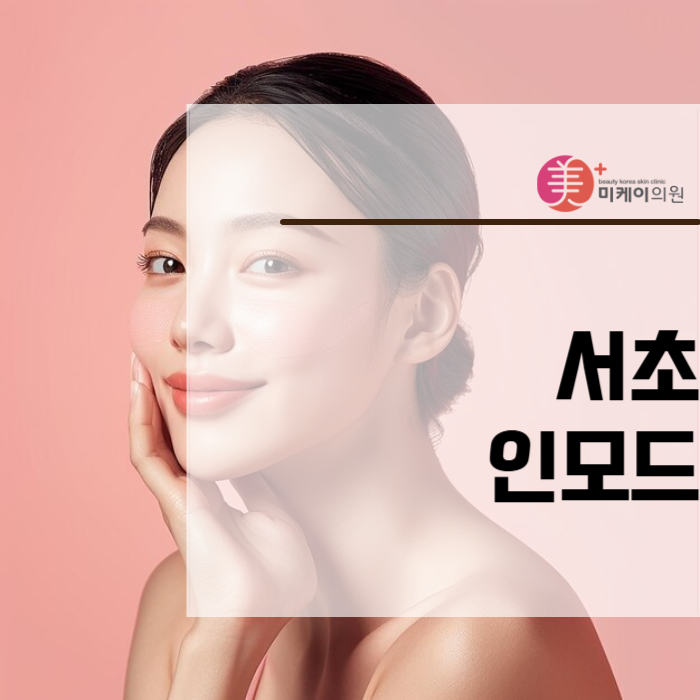 서초 인모드 많이 찾는 이유 관련 이미지 1