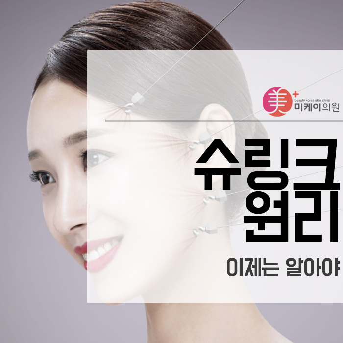 슈링크 원리 이제는 알아야 관련 이미지 2