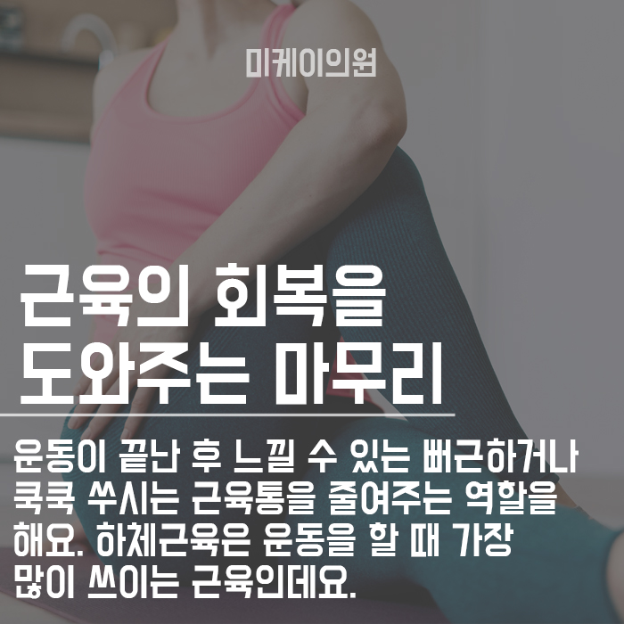 겨울은 쉽게 살이 빠진다? 스트레칭 운동 방법 알려드립니다. 관련 이미지 3