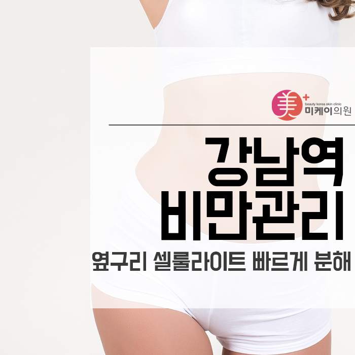 강남역비만관리 옆구리 셀룰라이트 빠르게 분해 관련 이미지 1